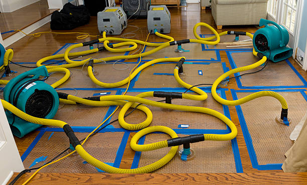 Professional Water Extraction technician working in Pullman, MI